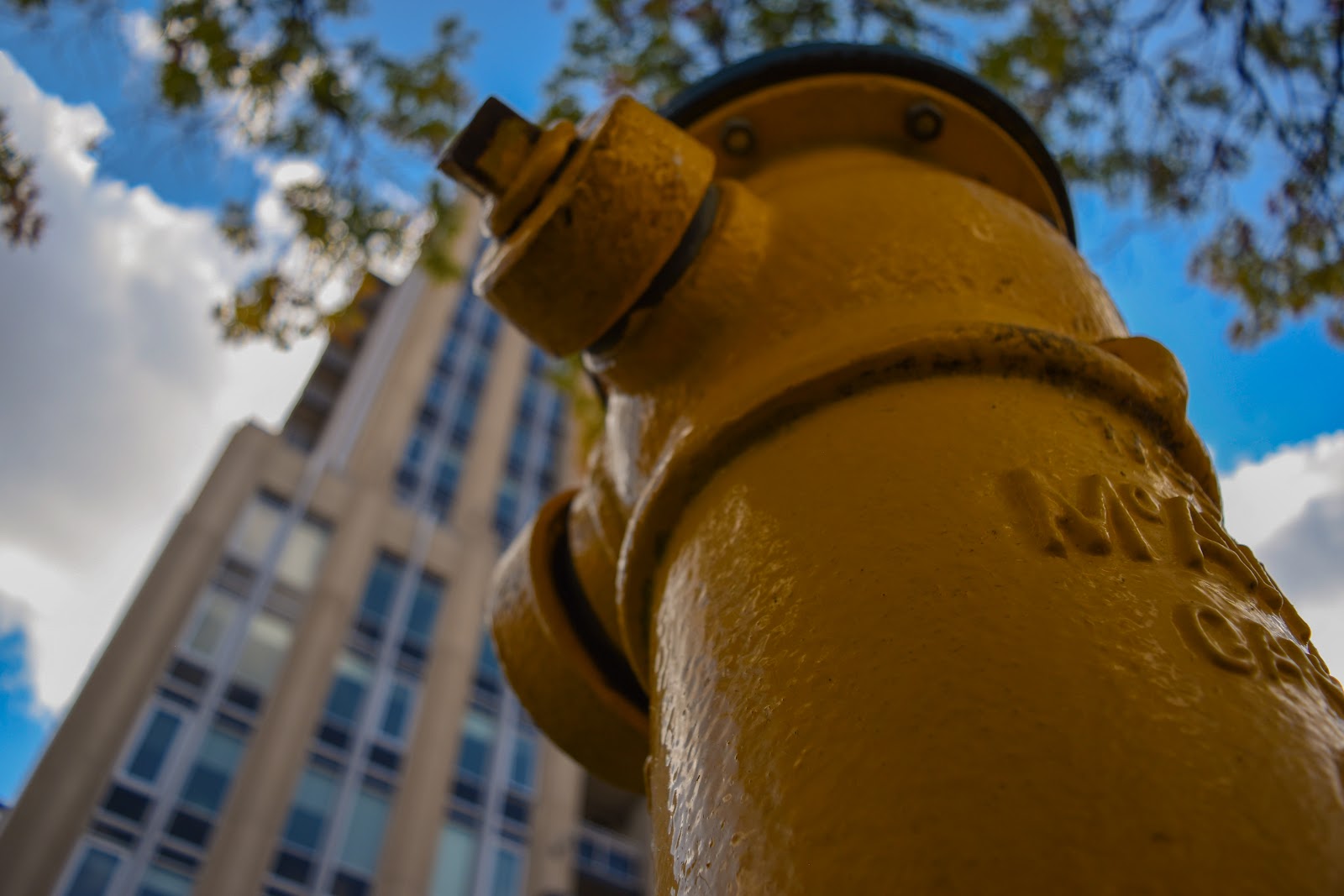 Low-angle shot of a fire hydrant