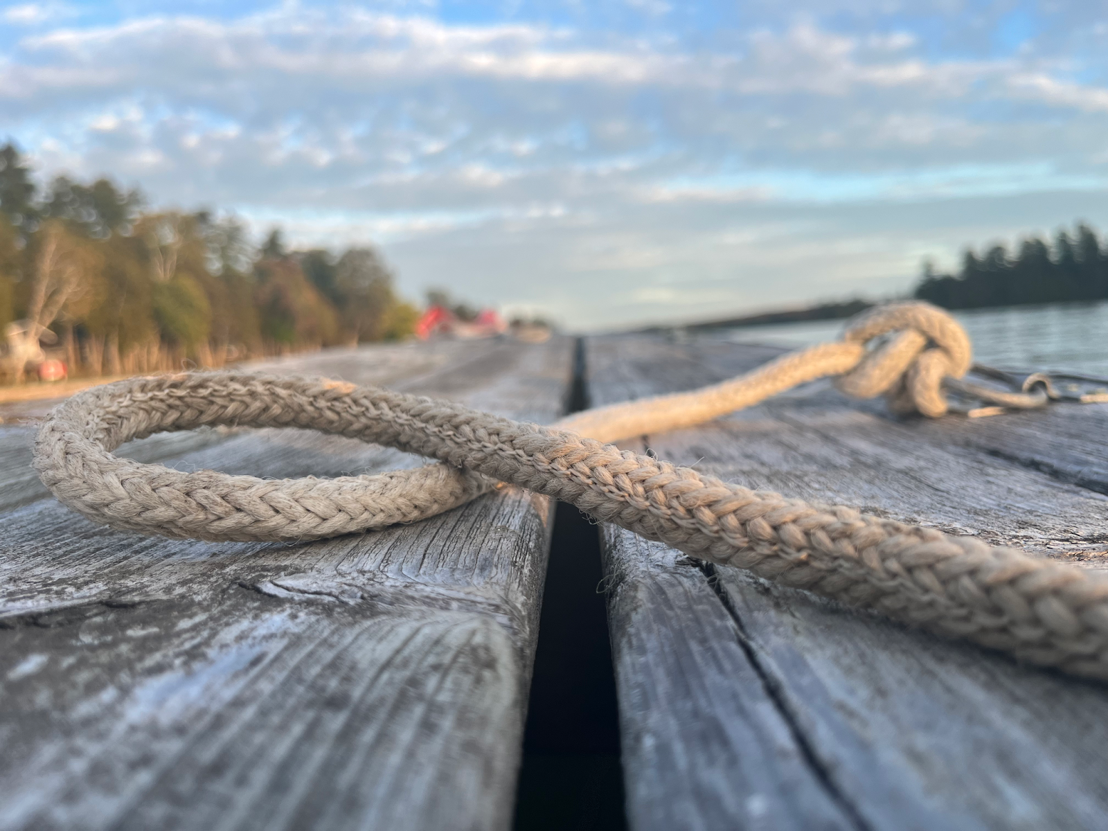 Photo 2: Rope on a dock